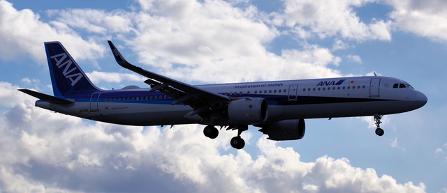 ANA_A321-200neo_139A_0006.jpg