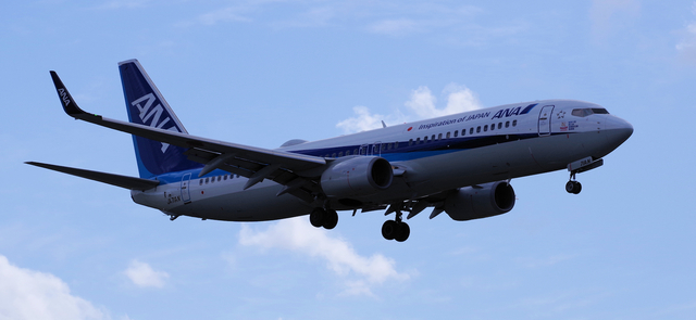 ANA_B737-800_71AN_0014.jpg
