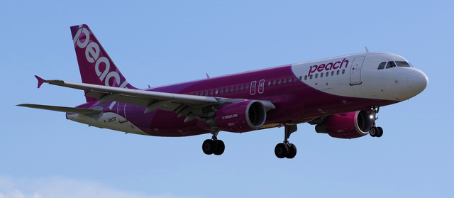 APJ_A320-200_821P_0014.jpg