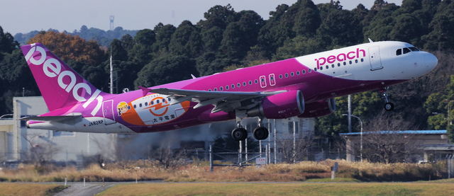 APJ_A320-200_828P_0013.jpg
