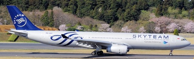 GIA_A330-300_GPF_0021.jpg