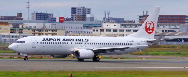 JAL_B737-800_302J_0006.jpg
