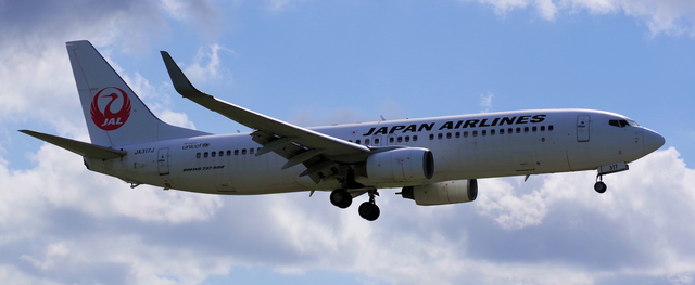 JAL_B737-800_317J_0032.jpg