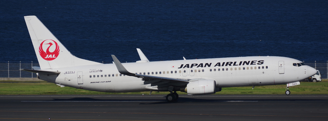 JAL_B737-800_323J_0012.jpg