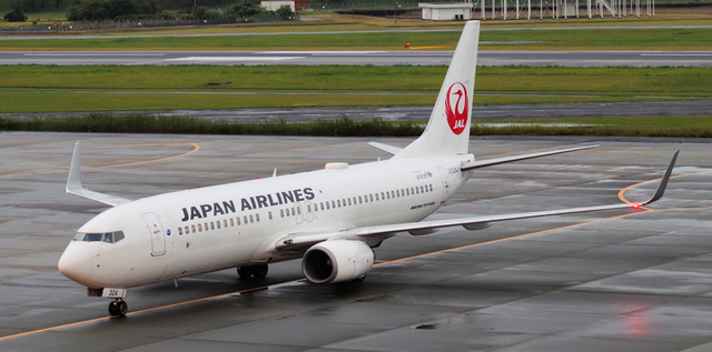 JAL_B737-800_324J_0009.jpg
