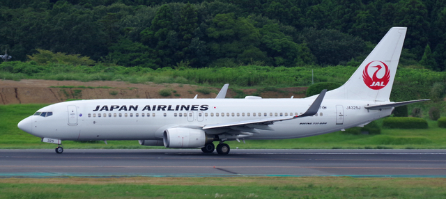 JAL_B737-800_325J_0017.jpg