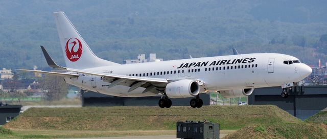 JAL_B737-800_JA348J_0013.jpg