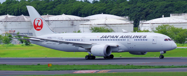 JAL_B787-8_JA826J_0022.jpg