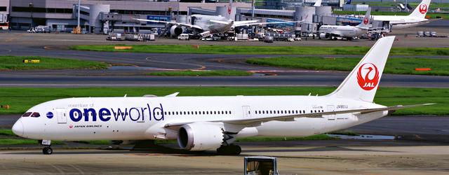 JAL_B787-9_861J_0012.jpg