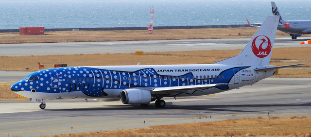 JTA_B737-400_8939_0017.jpg