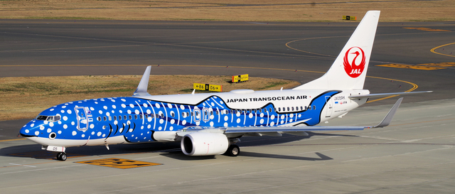 JTA_B737-800_05RK_0002.jpg