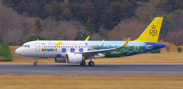 RBA_A320-200neo_V8-RBD_0002.jpg