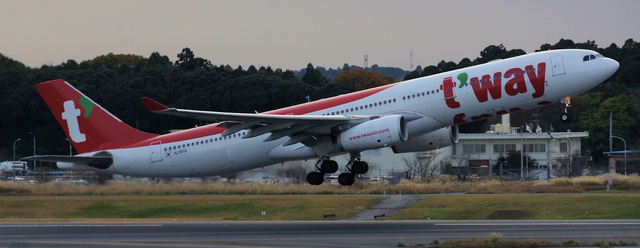 TWB-A330-300_HL8501_0002.jpg