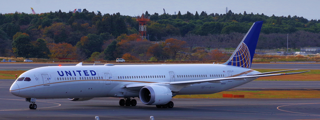 UAL_B787-10_N16009_0004.jpg